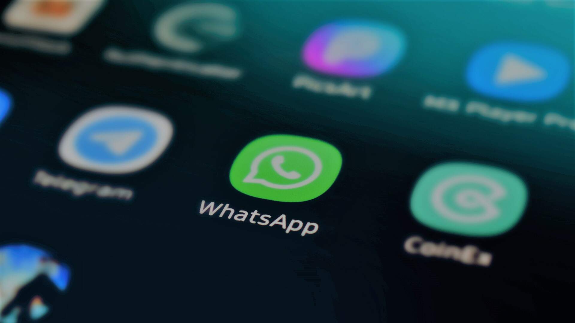 Sua empresa já se comunica por WhatsApp?